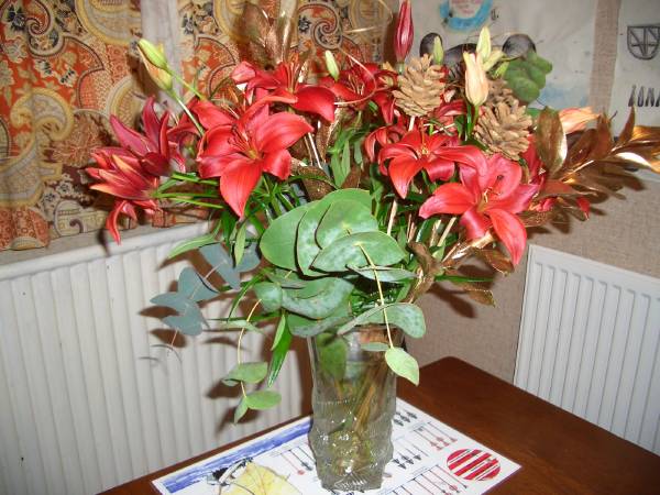 My Christmas flowers