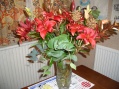 My Christmas flowers