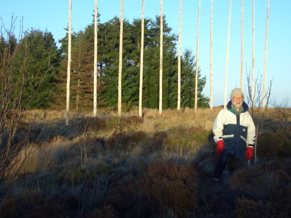 Flagpole like sculpture on Elrick Hill