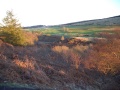 Golf course between Elrick and Brimmond Hills