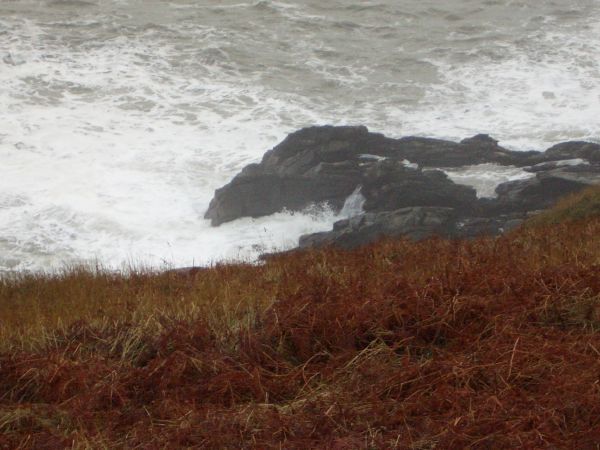 Sea on the rocks at Findon