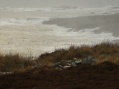 Misty seascape at Findon