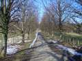 Start of my winter walk