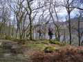 Looking back towards St Fillans